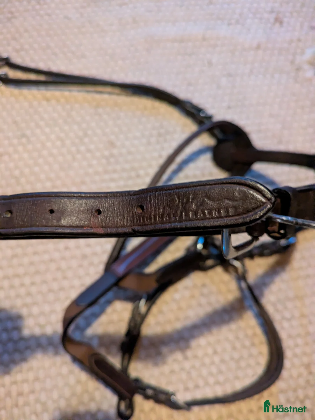 Sadeltillbehör hästutrustning till salu: Fin Dyon förbygel med martingal  i Björklinge - Annons 3