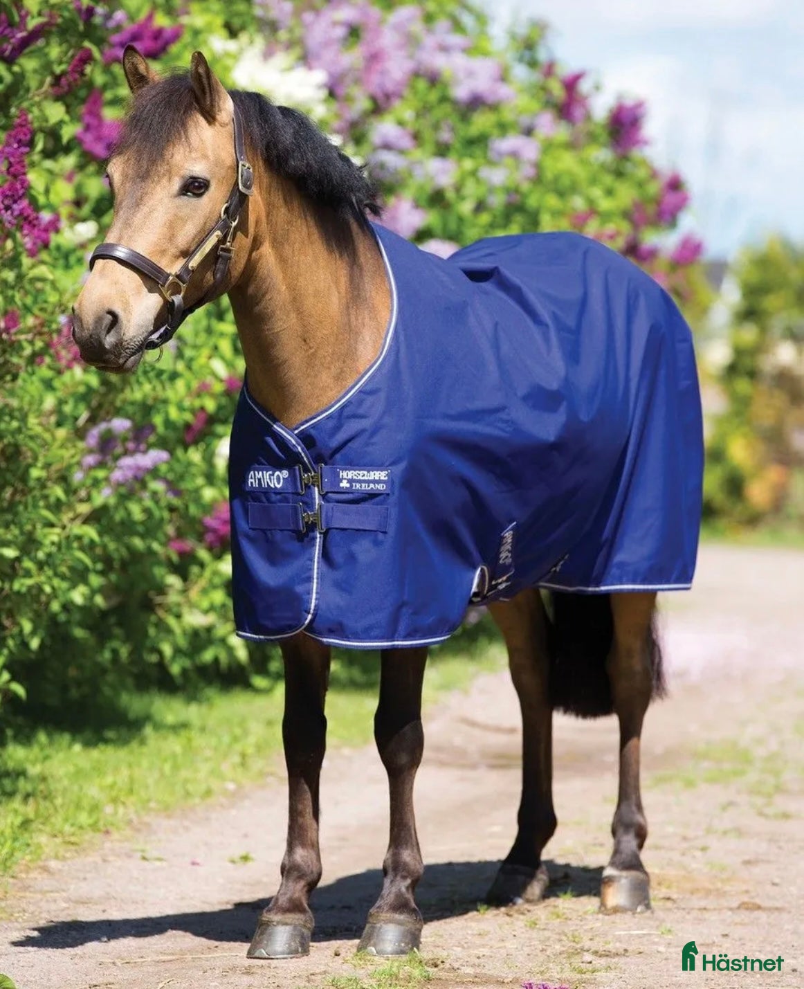 Täcken hästutrustning till salu: Amigo Hero 900 Pony i Malmköping - Annons 3