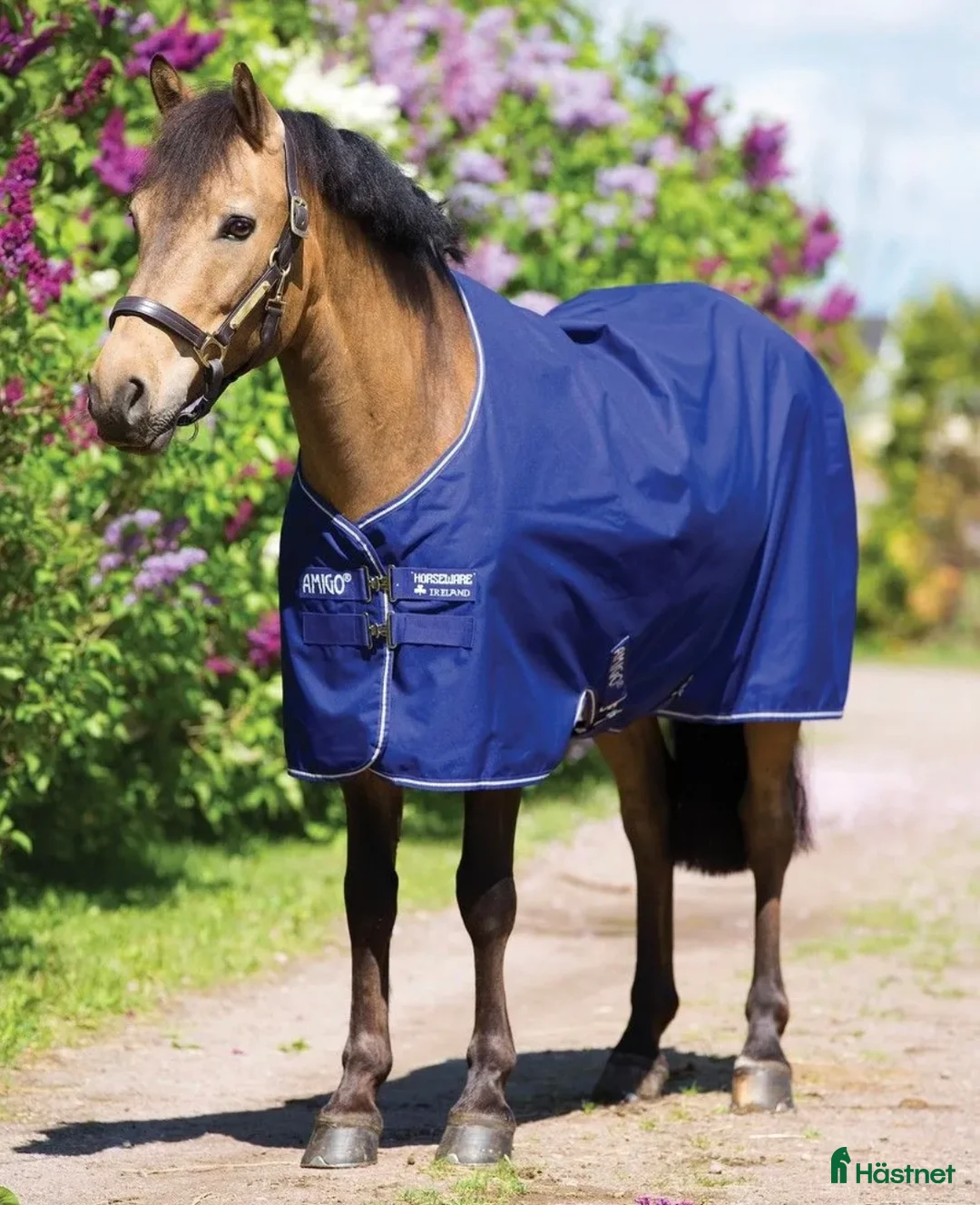 Täcken hästutrustning till salu: Amigo Hero 900 Pony i Malmköping - Annons 1