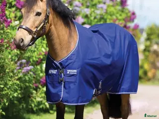 Täcken hästutrustning till salu: Amigo Hero 900 Pony i Malmköping - Annons 3