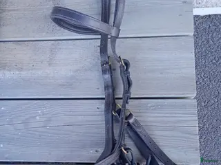 Träns hästutrustning Micklem träns i Strömstad - Annons 1