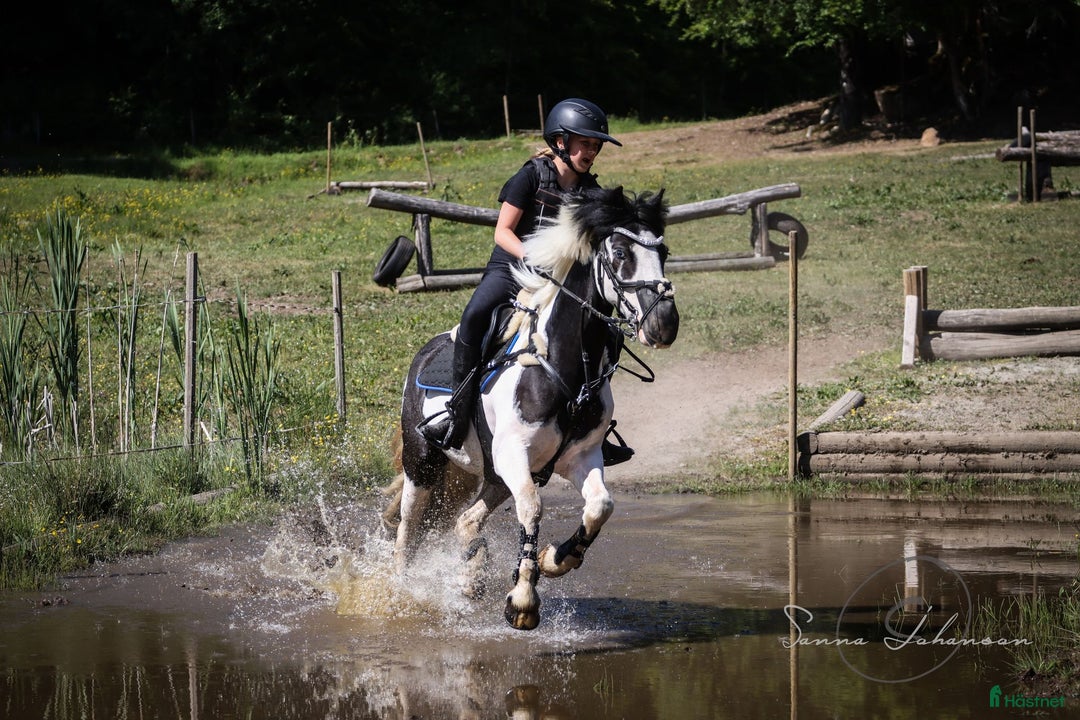  hästservice finnes: Ungdomsläger fälttävlan i Målsryd - Annons 3