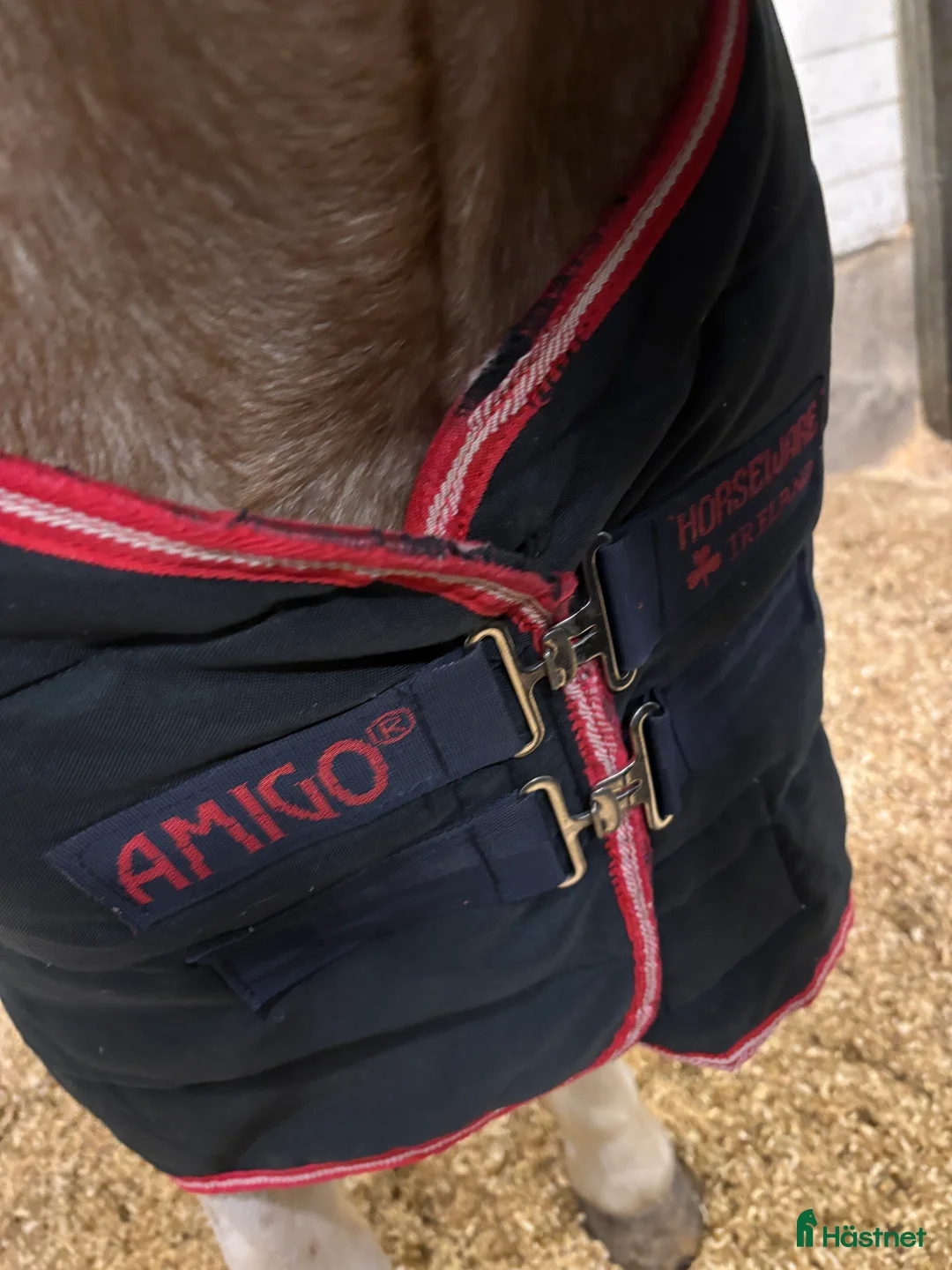 Täcken hästutrustning till salu: Horseware Amigo C-ponny i Oxelösund - Annons 8