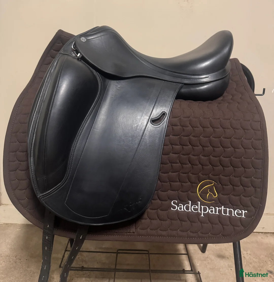 Sadlar hästutrustning till salu: Equipe Emporio  i Växjö - Annons 1