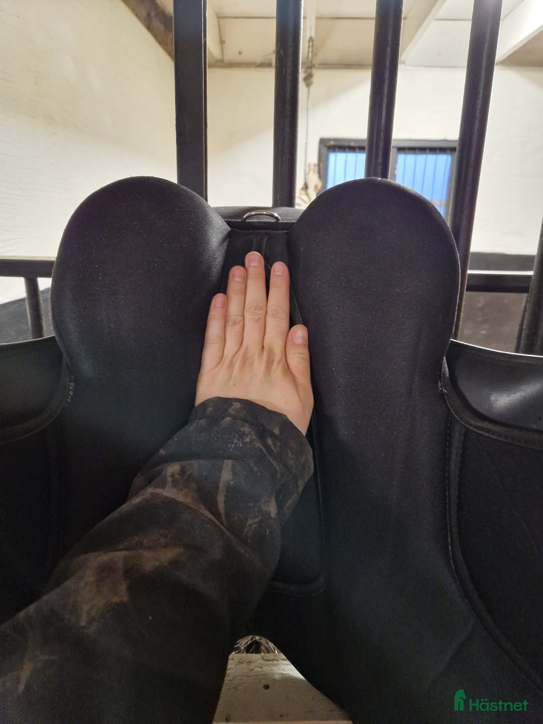 Sadlar hästutrustning till salu: Thorowgood griffin i Motala - Annons 7