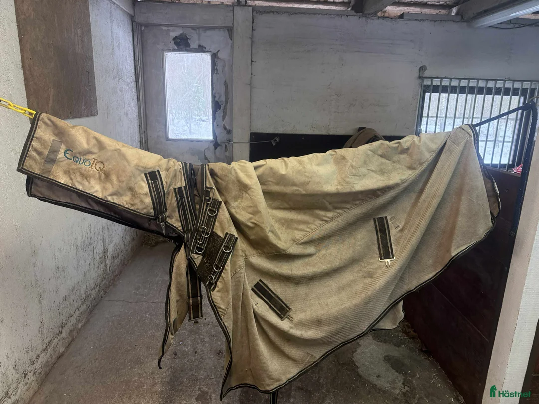 Täcken hästutrustning till salu: Iquoiq - Annons 2