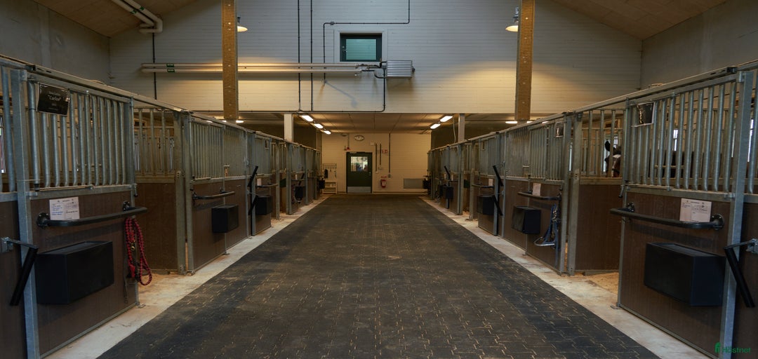 Galleribild {{count}}