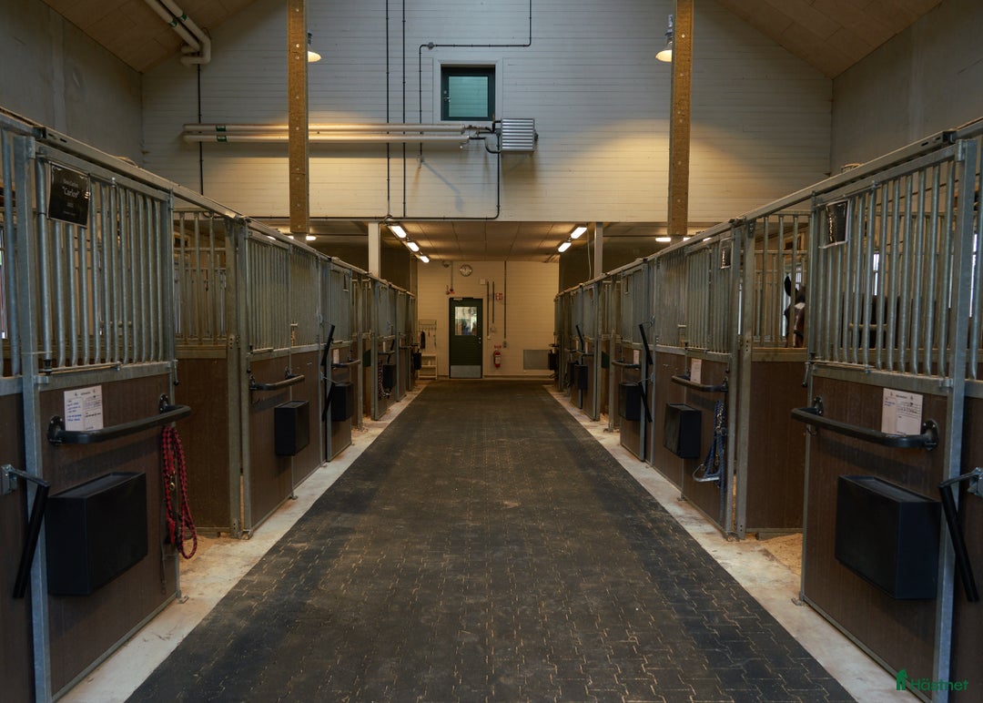 Galleribild {{count}}