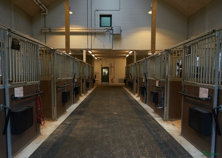 Galleribild {{count}}