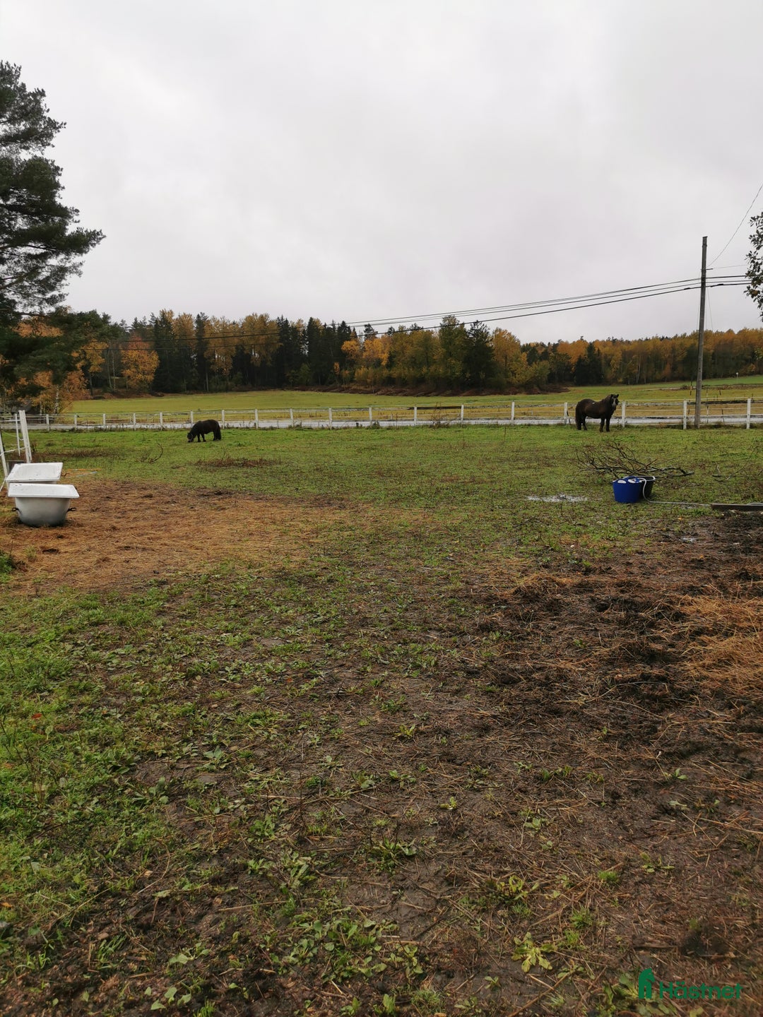  stallplats finnes: Stallplats i centrala Tungelsta  i Tungelsta - Annons 5