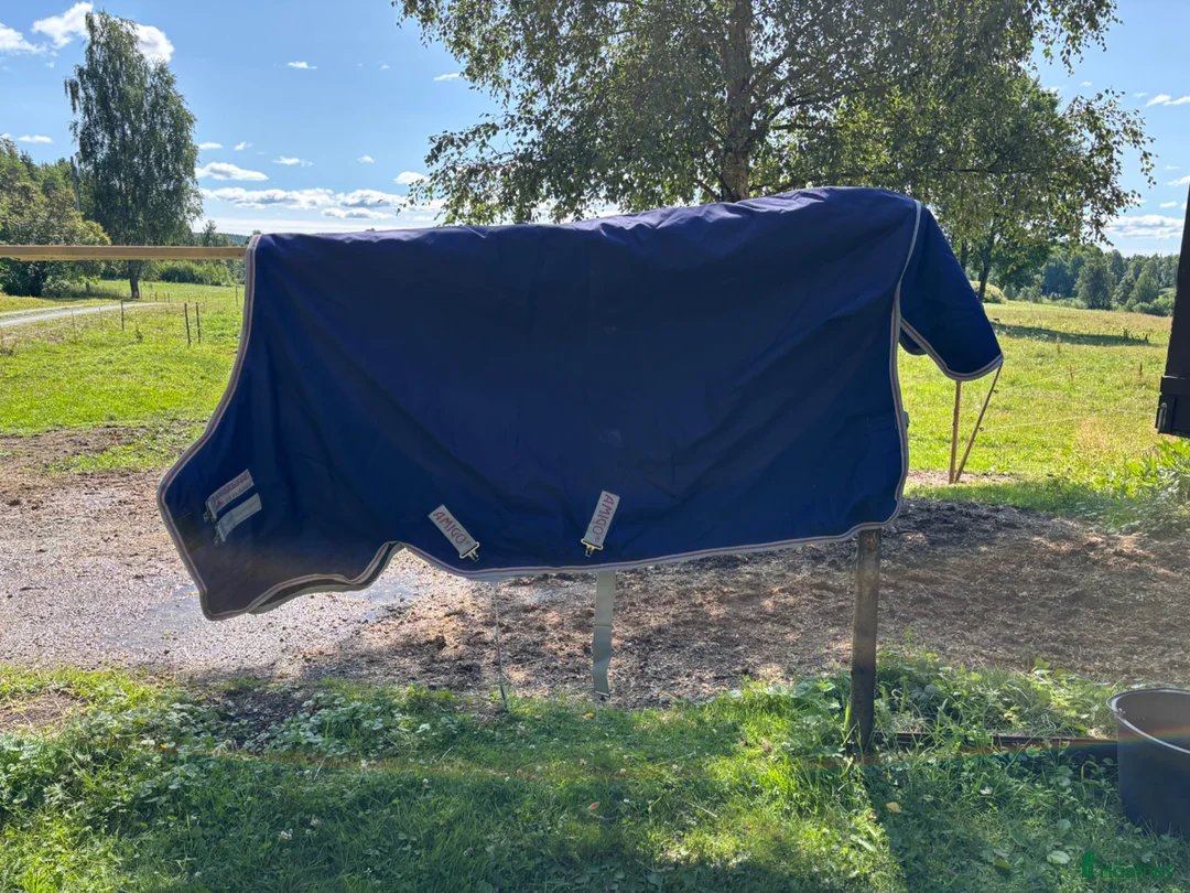 Täcken hästutrustning till salu: Vintertäcke 350 g - Annons 2