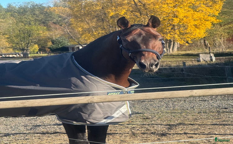  hästjobb i Jönköping - Annons 14