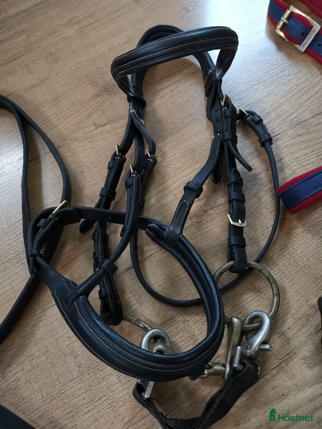 Övrig Hästutrustning hästutrustning till salu: Shettis i Ludvika - Annons 2