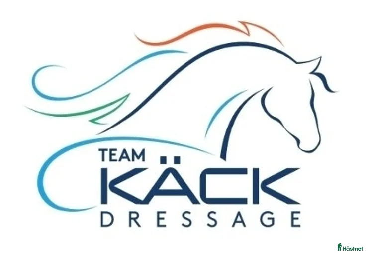 Galleribild {{count}}