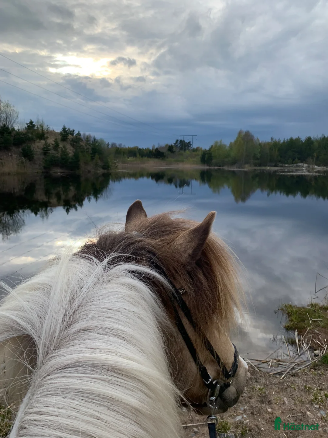  stallplats finnes: Lösdriftsplats på Malmby Gård i Rimbo - Annons 7