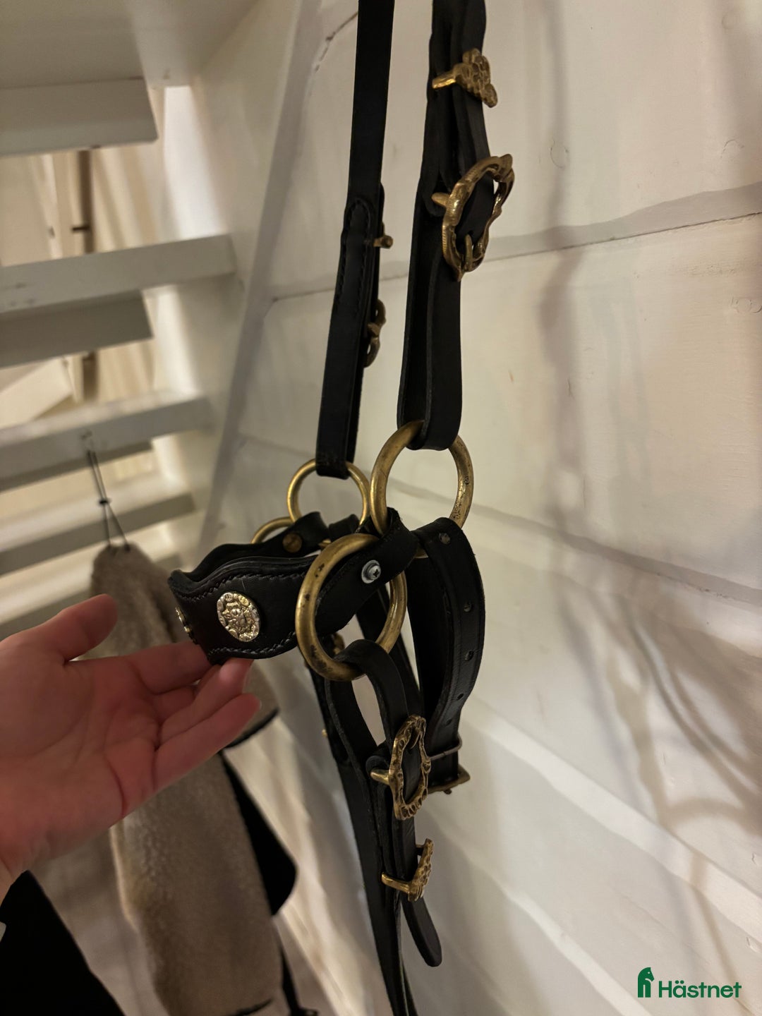 Träns hästutrustning till salu: Akademiskt träns med tyglar & sidepull FULL i Storuman - Annons 14