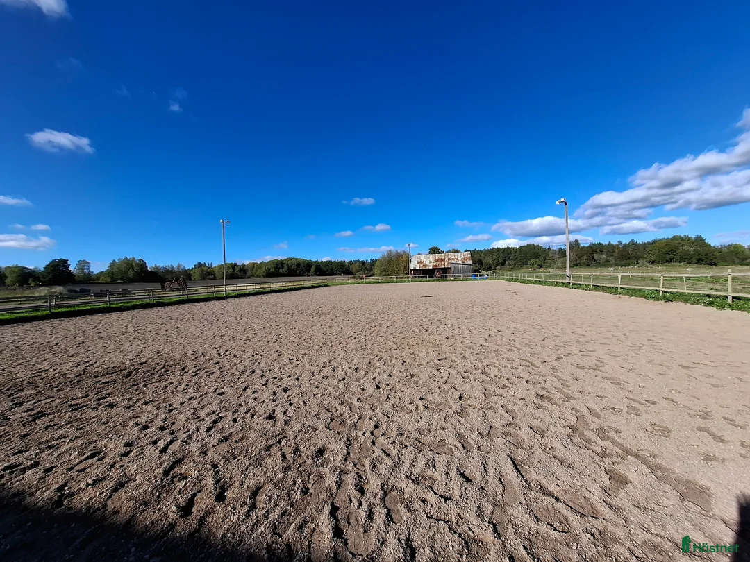  stallplats finnes: Lediga boxar nära Arlanda i Arlandastad - Annons 4