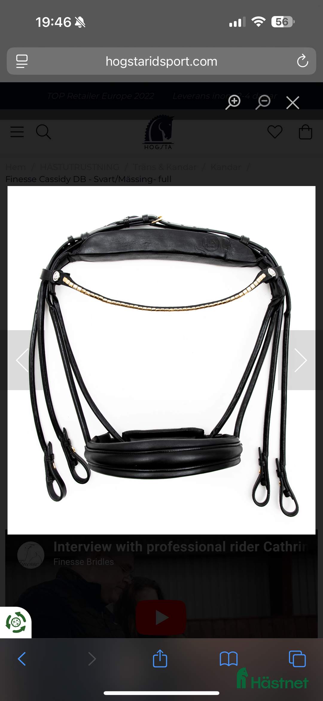 Träns hästutrustning till salu: Finesse kandar storlek full svart/mässing i Motala - Annons 5