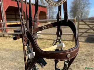 Träns hästutrustning Antares träns full - Annons 15