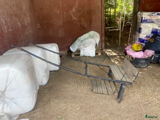 Körvagnar körning till salu: Ponny rockard i Täby - Annons 18