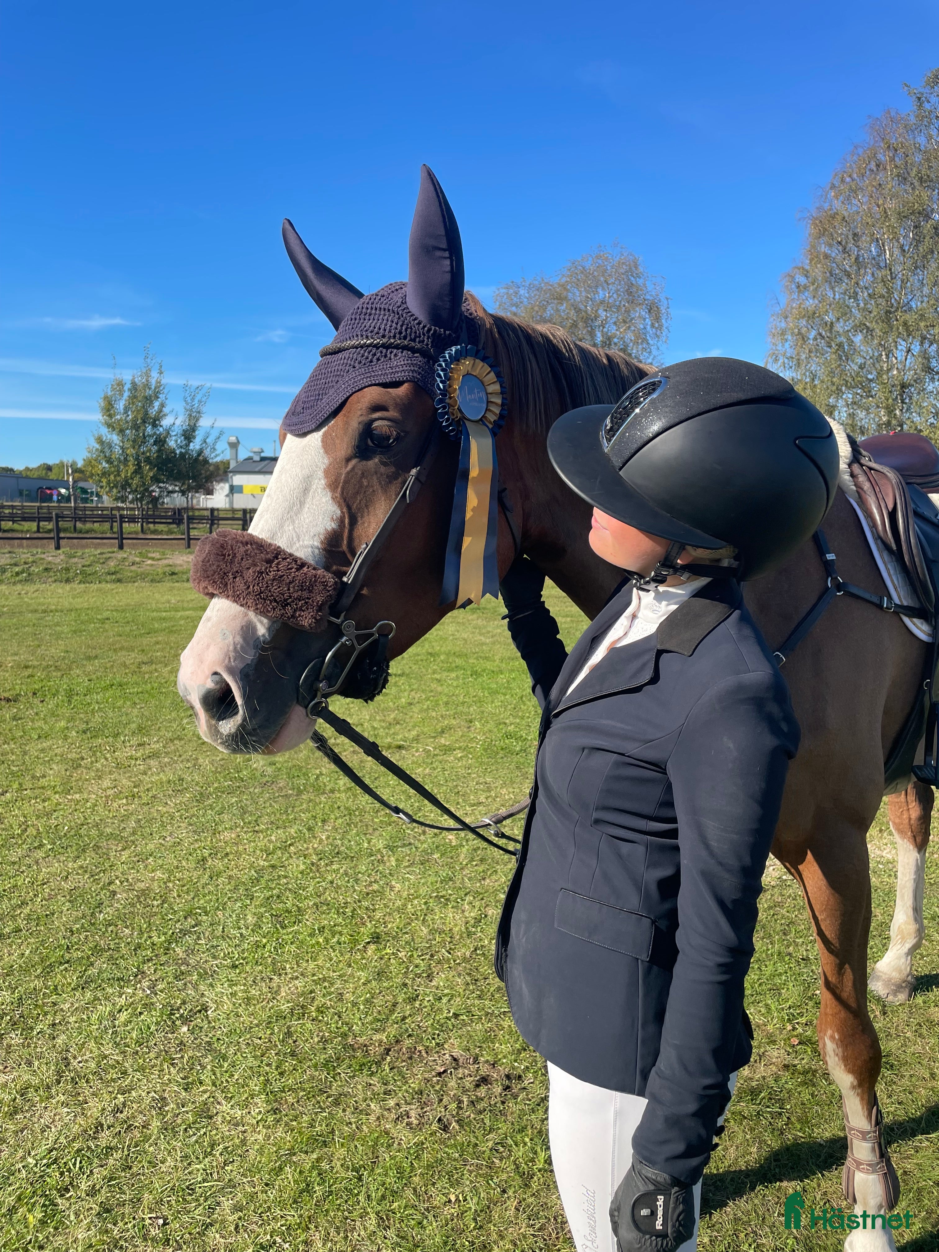  hästar Framtidslöfte  i Västervik - Annons 16