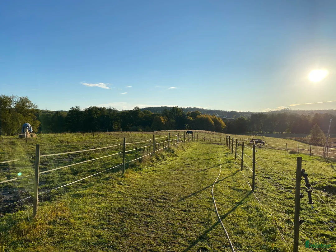  stallplats finnes: Stallplats i Hajom - Annons 5