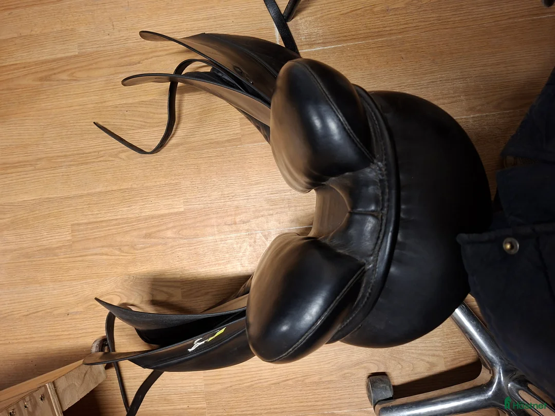 Sadlar hästutrustning till salu: Passier Corona i Hamneda - Annons 6