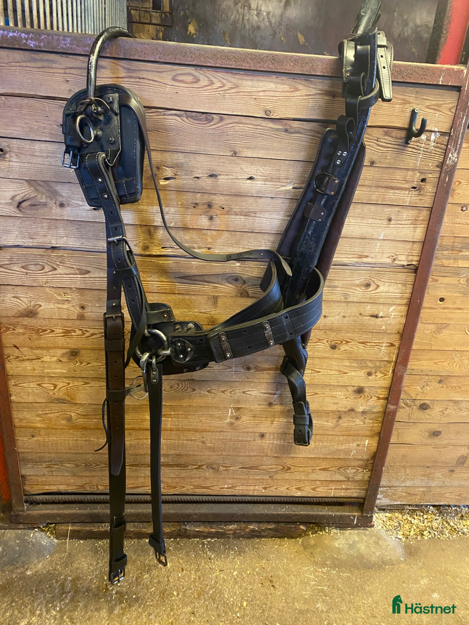 Körselar körning till salu: Loksele - Annons 3