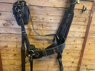 Körselar körning till salu: Loksele - Annons 2