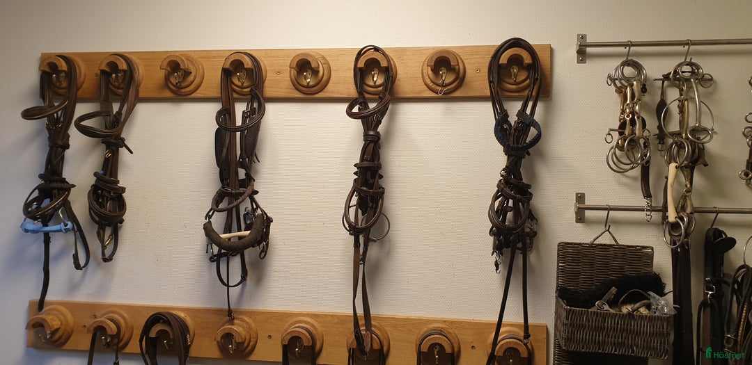  stallplats finnes: Stall om 6-10 boxar uthyres i Kristianstad - Annons 6