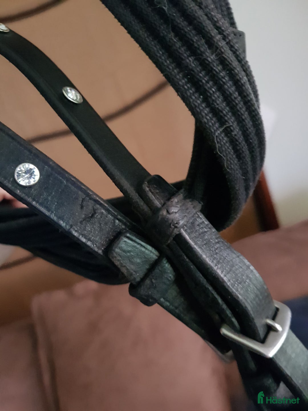 Övrig Hästutrustning hästutrustning till salu: Vävribbstygel full i Timrå - Annons 2