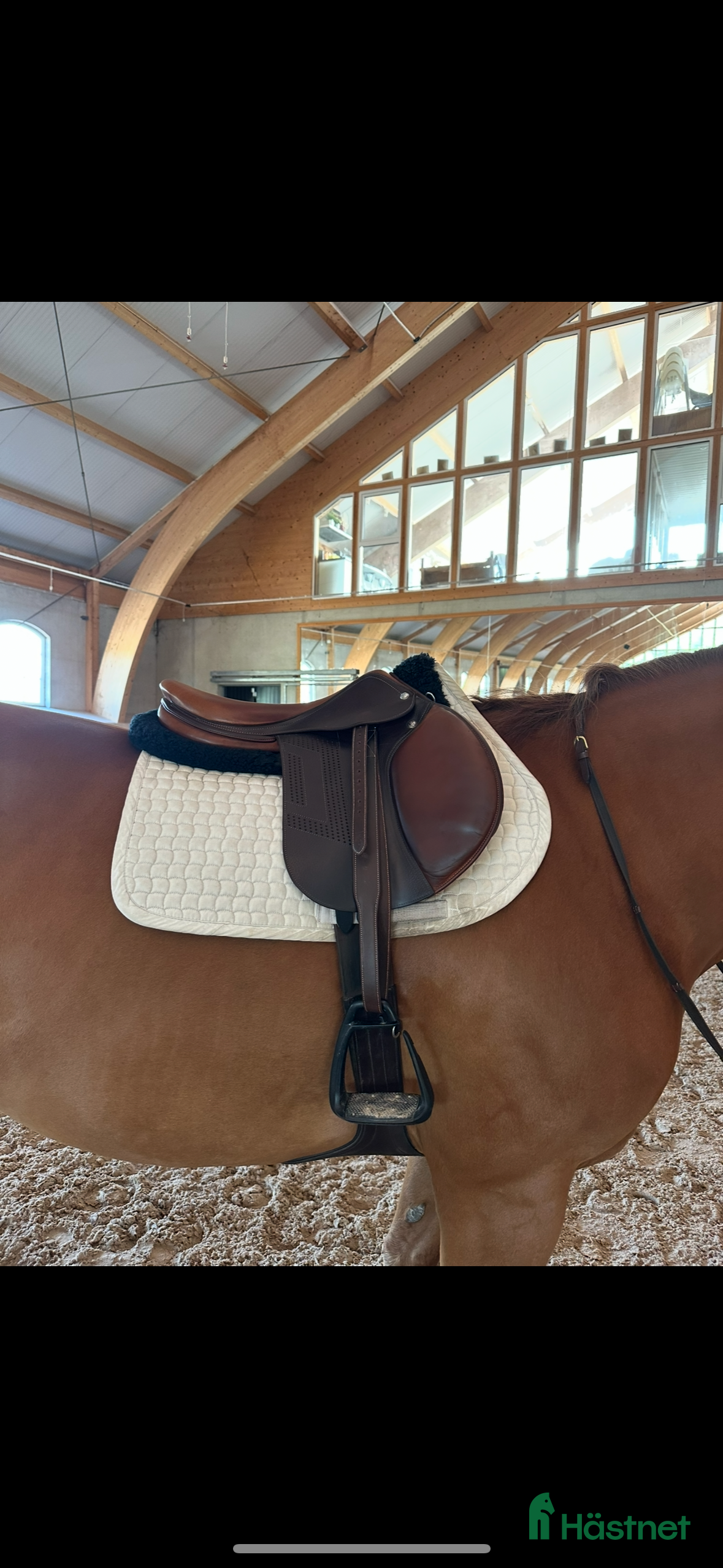 Sadlar hästutrustning till salu: Renaissance Bhoof i Höviksnäs - Annons 1