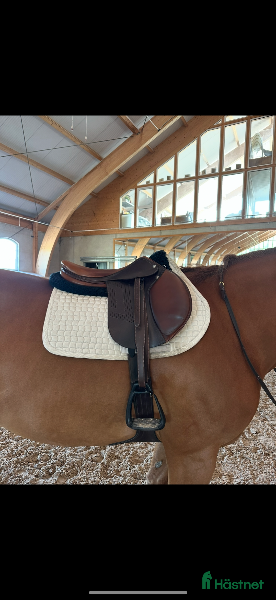 Sadlar hästutrustning till salu: Renaissance Bhoof i Höviksnäs - Annons 1