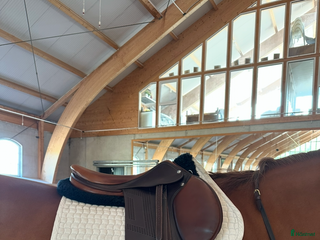 Sadlar hästutrustning till salu: Renaissance Bhoof i Höviksnäs - Annons 1