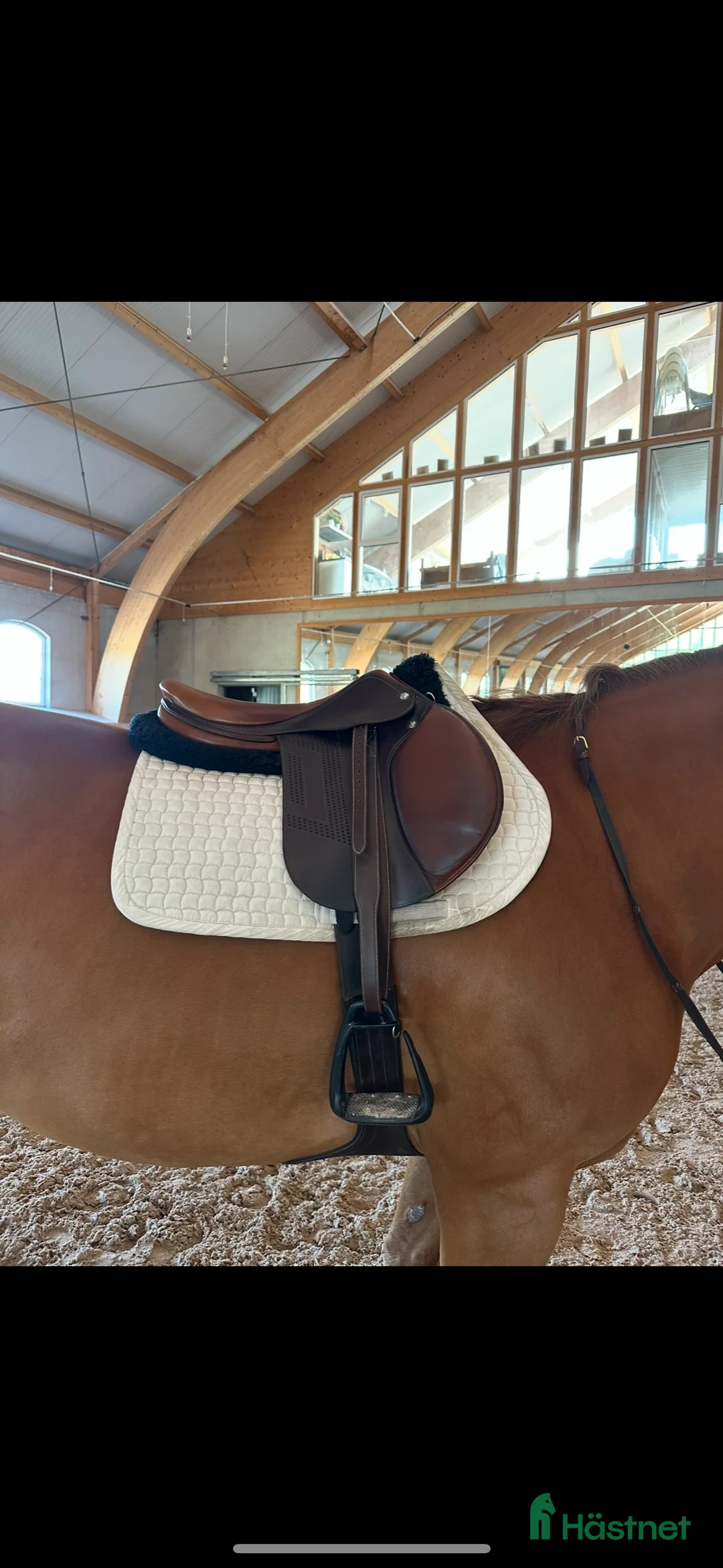 Sadlar hästutrustning till salu: Renaissance Bhoof i Höviksnäs - Annons 1