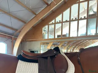 Sadlar hästutrustning Renaissance Bhoof i Höviksnäs - Annons 7