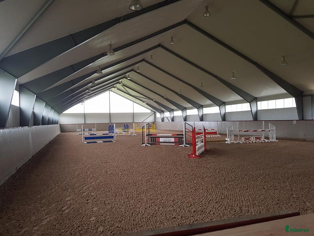  stallplats finnes: Stall om 6-10 boxar uthyres i Kristianstad - Annons 14