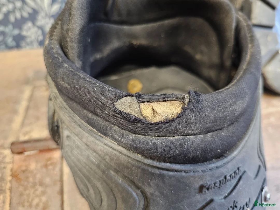 Övrig Hästutrustning hästutrustning till salu: Easyboot back country stlk 4 - Annons 4