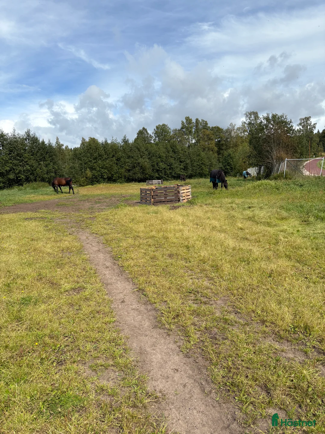 stallplats finnes: Lösdriftsplatser i Lugnet Falun i Falun - Annons 2
