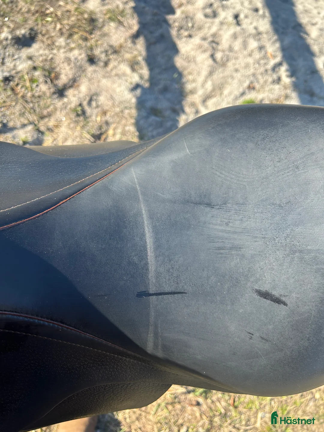 Sadlar hästutrustning till salu: Prestige Golden star - Annons 3