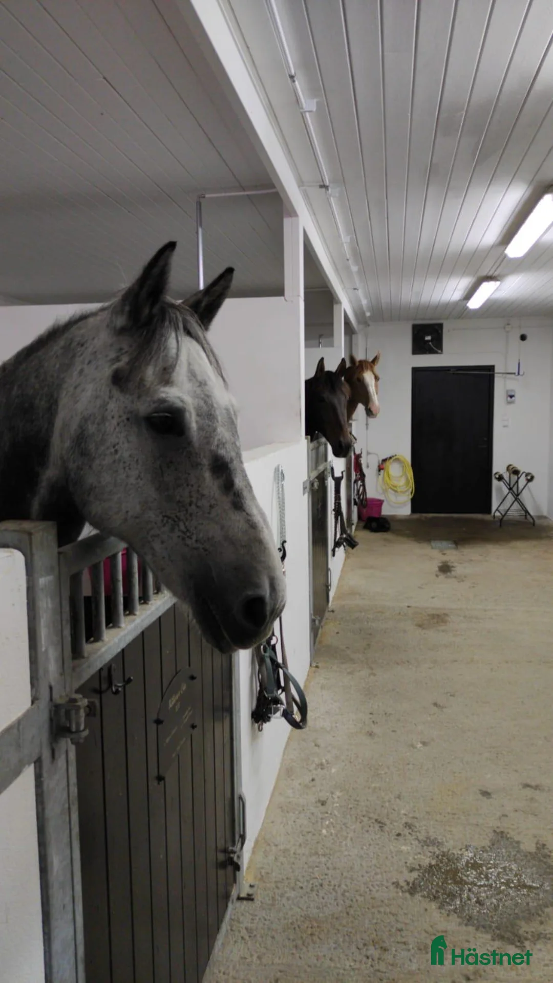 stallplats finnes: Stallplats utanför Lund i Lund - Annons 3