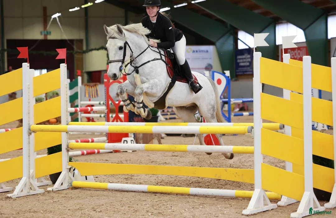 Galleribild {{count}}