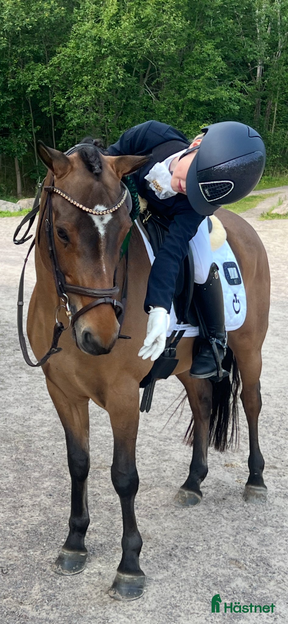  hästar Superfin b-ponny - Annons 1