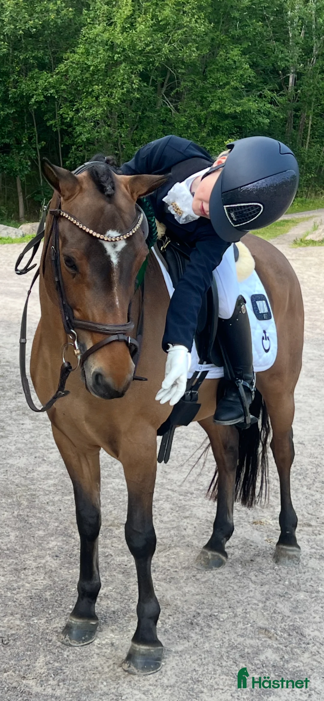 Dressyr hästar till salu: Superfin b-ponny i Ekerö - Annons 1