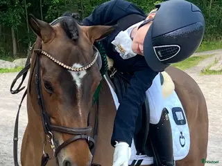 hästar Superfin b-ponny - Annons 1