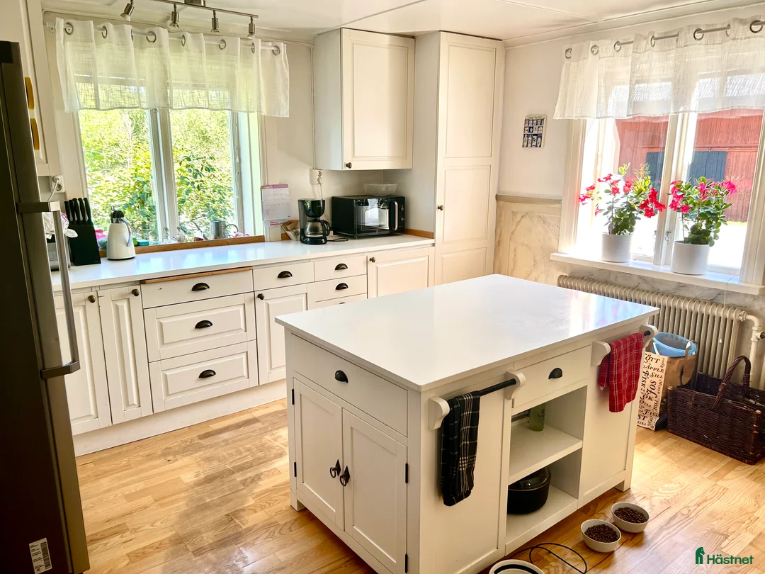  hästgårdar till salu: Perfekt för verksamhet / inackordering - Annons 27