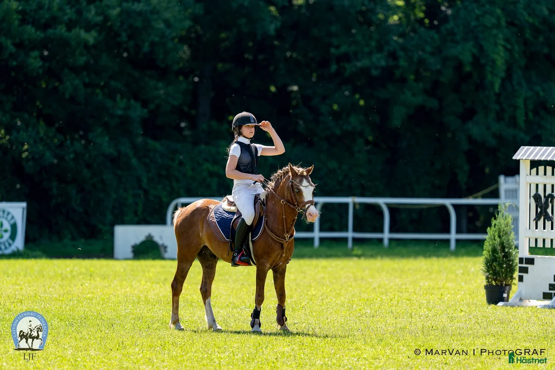 Hoppning hästar till salu: Welsh pony for sport - Annons 18