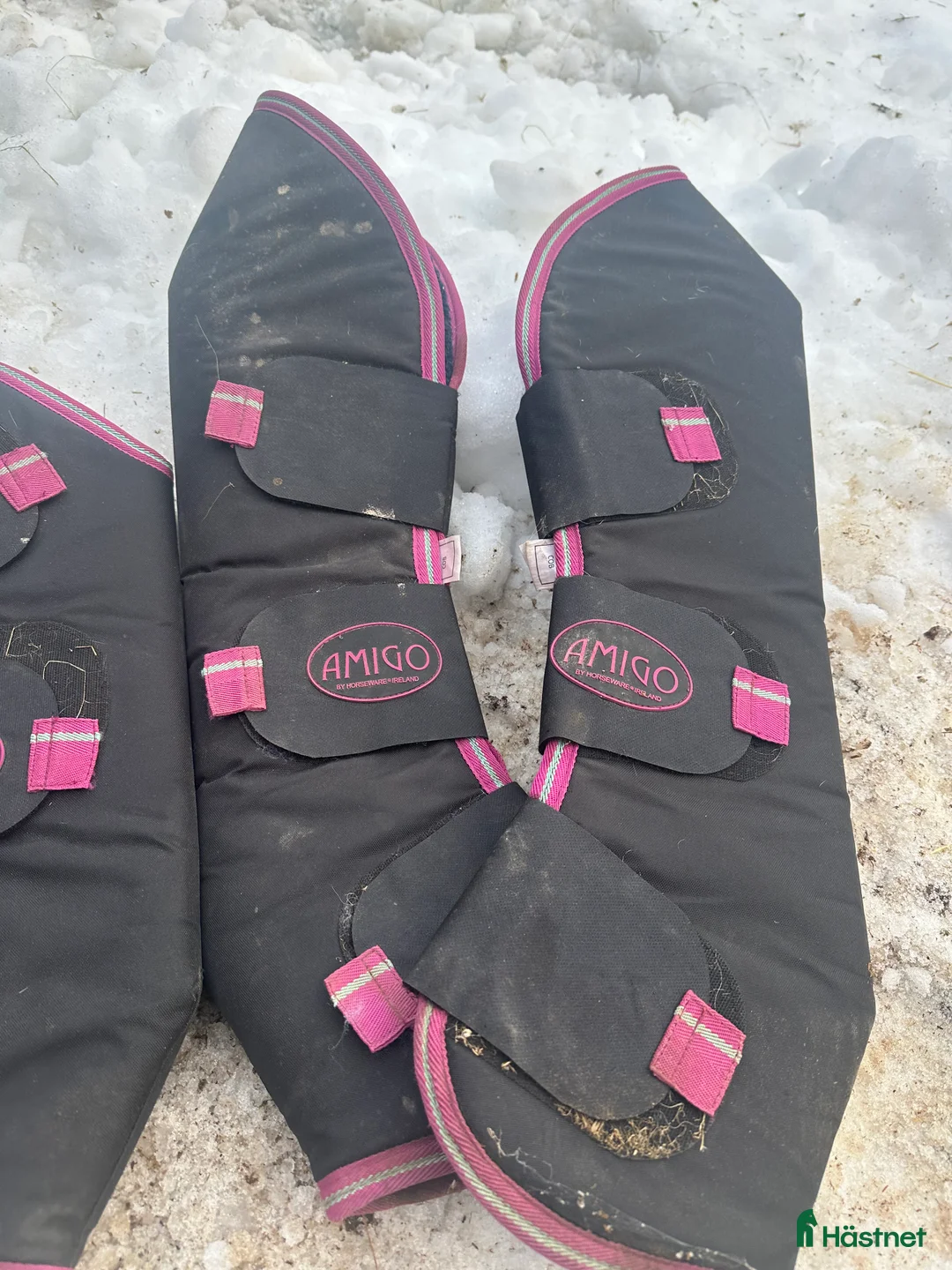 Övrig Hästutrustning hästutrustning till salu: Amigo Transportskydd  - Annons 2