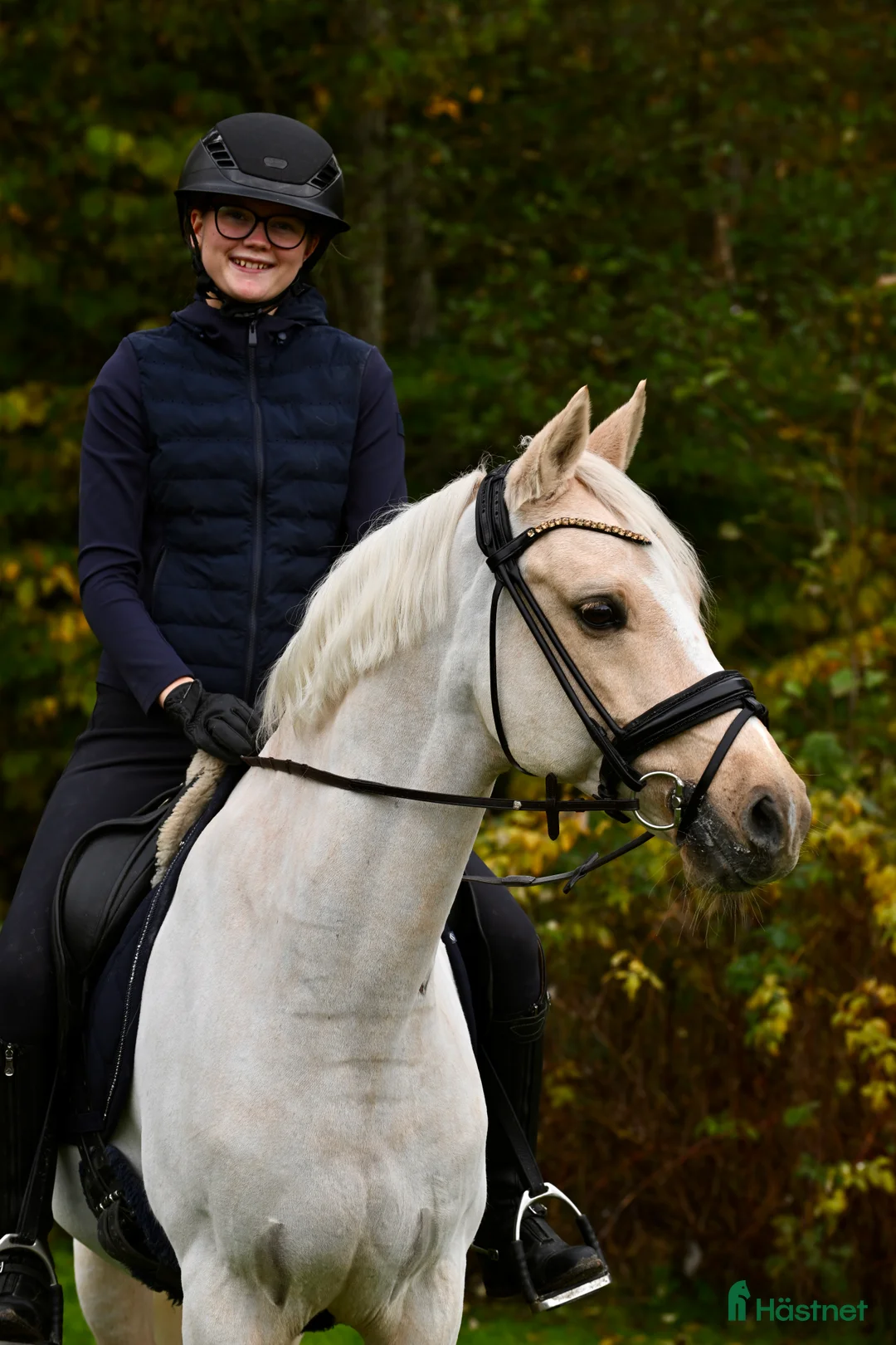 Dressyr hästar till salu: Fantastisk dressyrponny säljes! - Annons 1