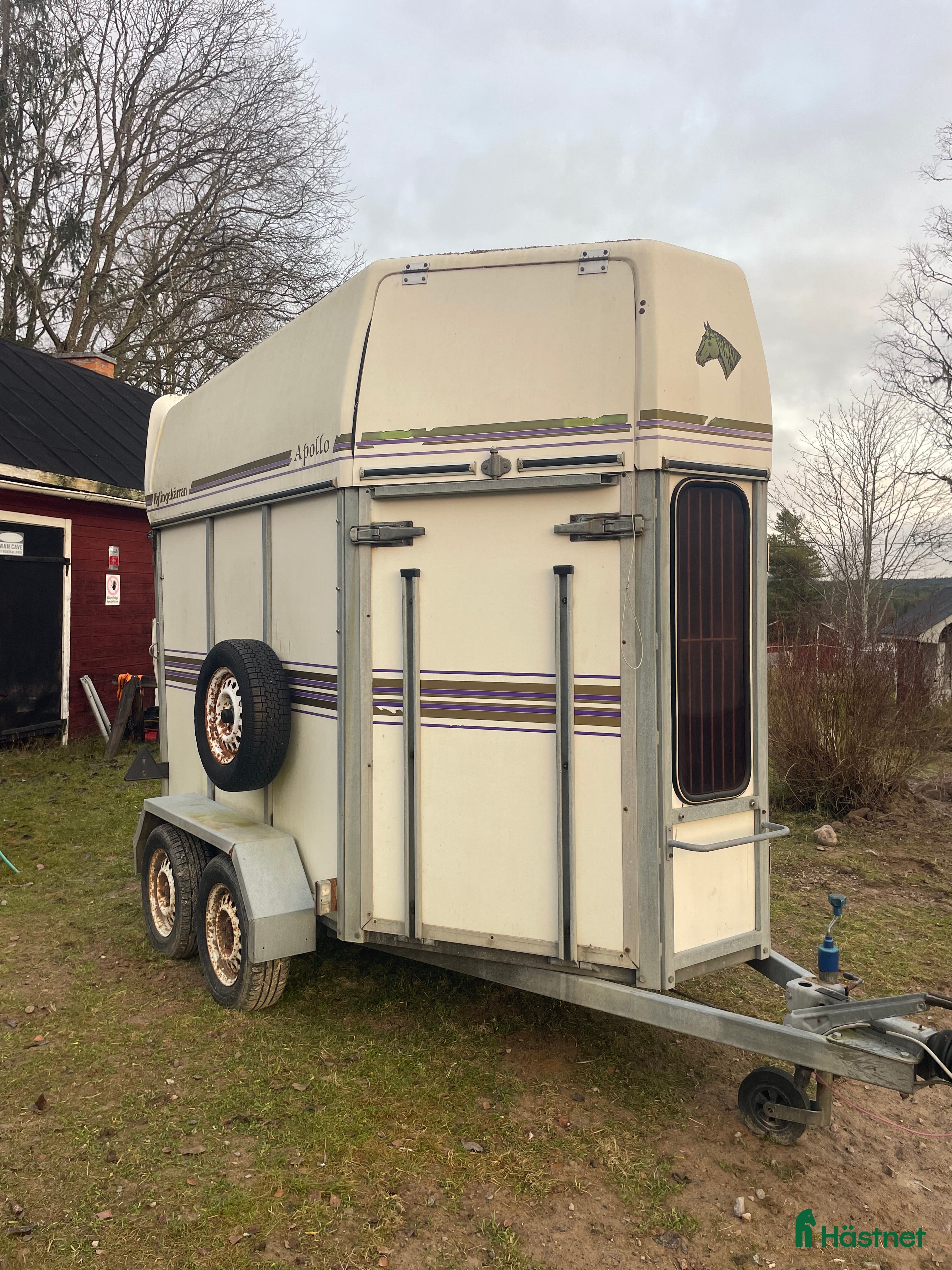 Hästtransporter  fordon & transport till salu: Fin Kyllinge Apollo i Saxdalen - Annons 15
